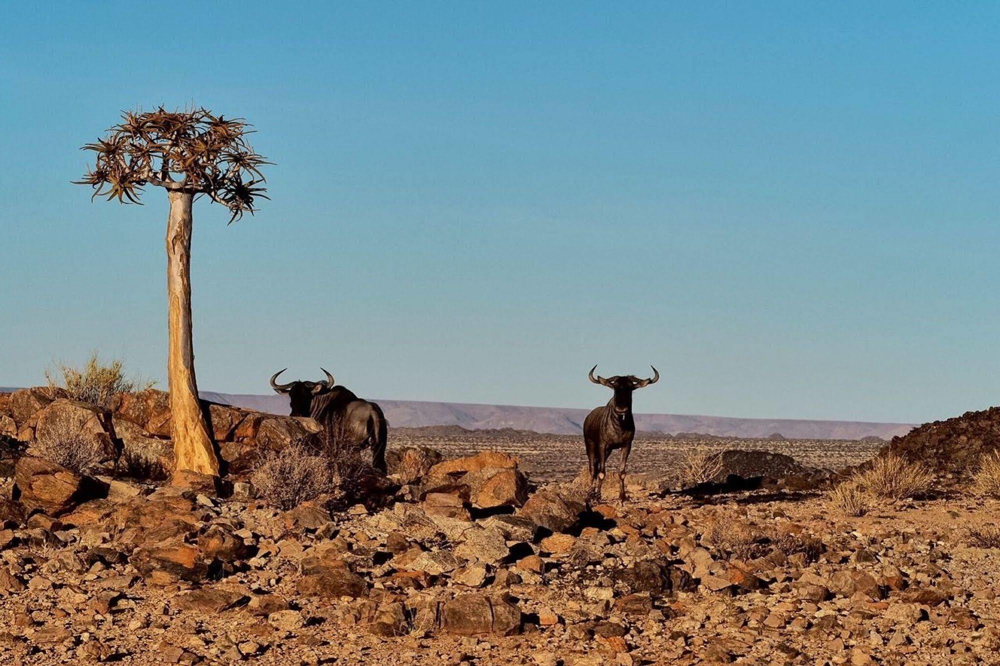Tutwa Desert Lodge Augrabies Екстер'єр фото